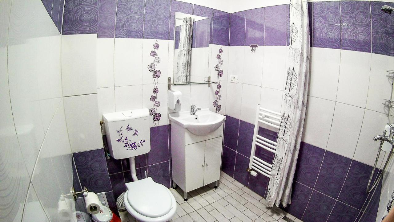 Nice & Cozy Apartments Timisoara Luaran gambar